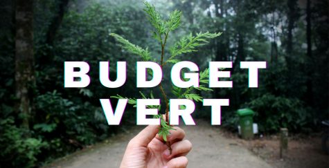 Formation Budget vert